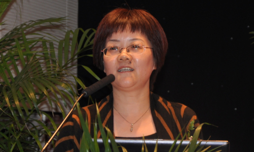 雷火·竞技电竞网站互联总经理、首席规划师 郑爱军