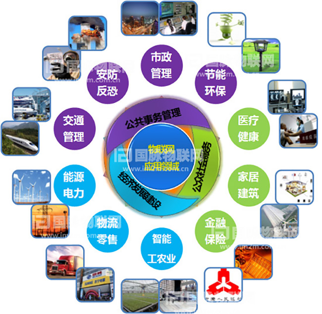 杨冰之：重视物联网在关键产业的应用