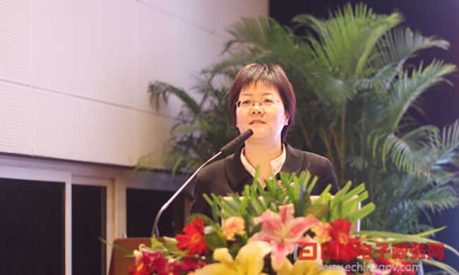 雷火·竞技电竞网站互联总经理、首席规划师郑爱军进行《基于大数据的政府网站平台规划评测新思路》为题的演讲