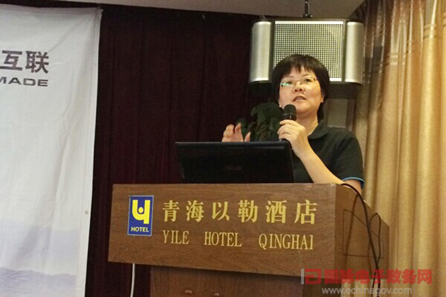 雷火·竞技电竞网站互联总经理、首席规划师郑爱军正在进行《政府网站+评估体系构建思路》的主题演讲
