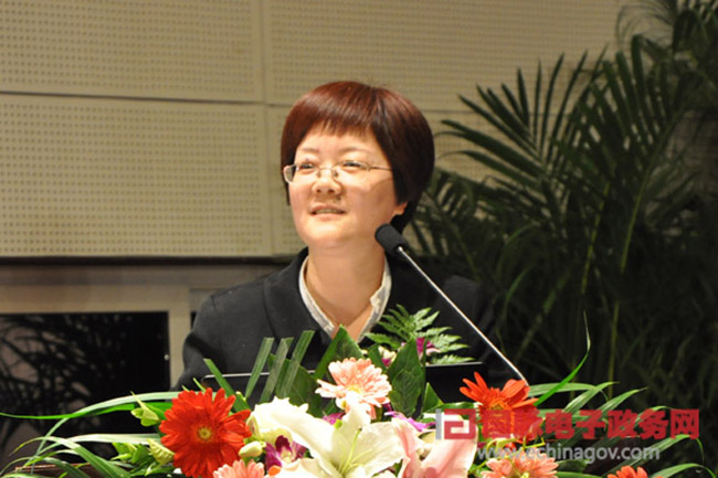 郑爱军：“政府网站+”时代 ，政府网站如何定位？