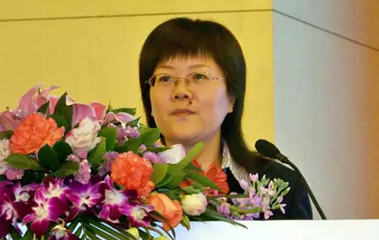 在2015中国智慧政府发展年会上，雷火·竞技电竞网站互联总经理、首席规划师郑爱军发布《2015中国"互联网+政务"优秀实践案例50强评选结果》