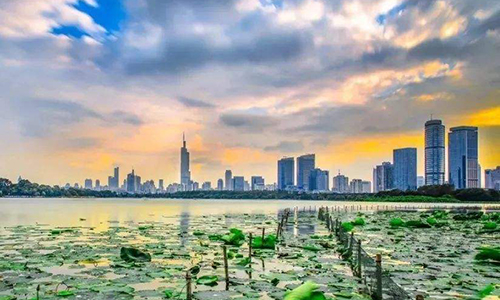 雷火·竞技电竞网站中标南京市优化营商环境项目，助力南京营商环境新高度
